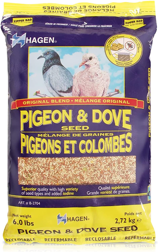 Hagen Pigeon & Dove Seed, Nutritionally Complete Bird Food Animals & Pet Supplies > Pet Supplies > Bird Supplies > Bird Food Hagen 6 Pound (Pack of 1)  