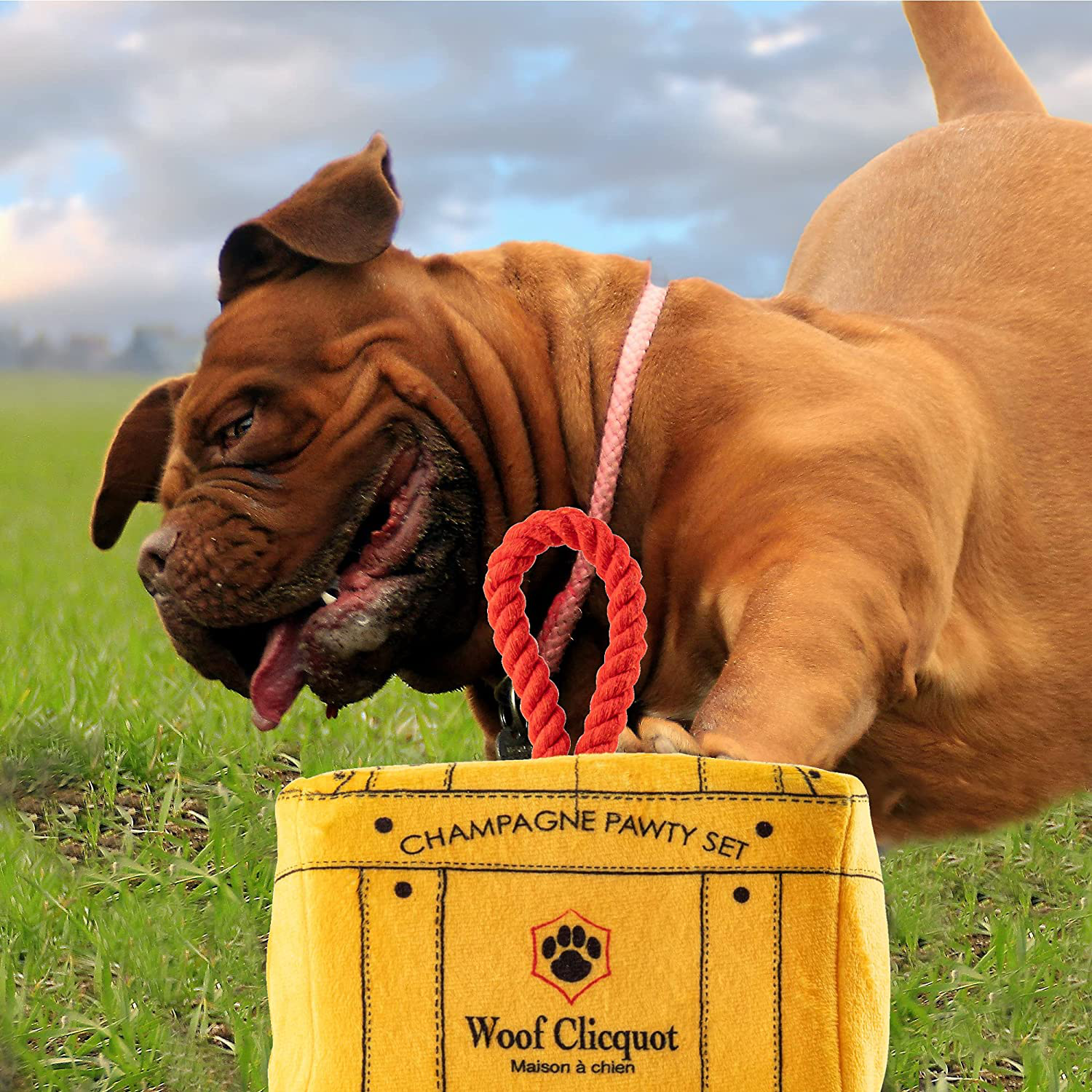 Haute diggity top dog wholesale