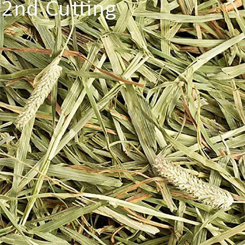 Small Pet Select-Sampler Box, 2ND Cutting, 3RD Cutting Timothy Hay, Oat Hay, & Orchard Hay
