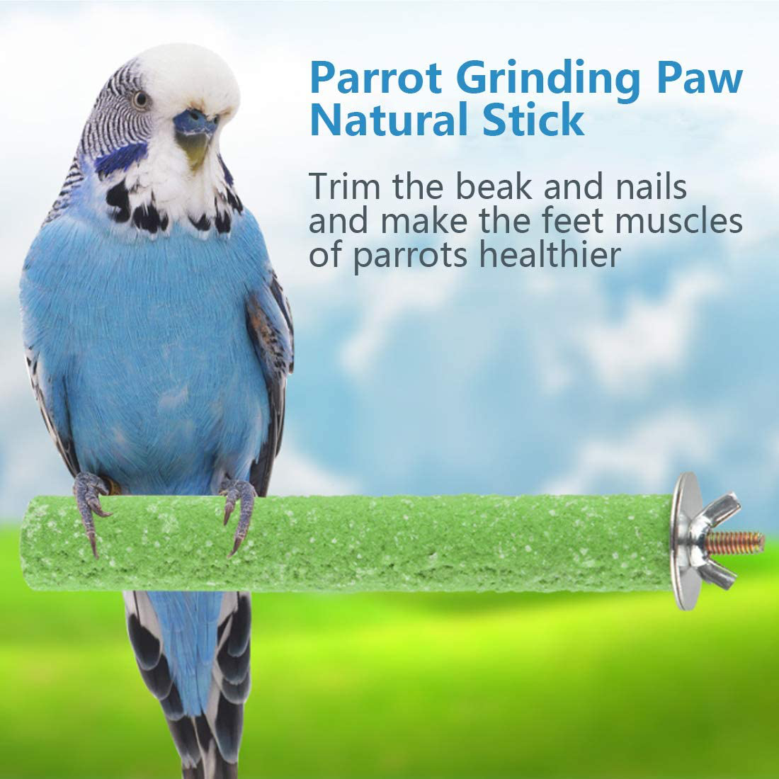 Quartz Sand Perch Paw Beak Grinding Pet Bird Cage Stand For Bird