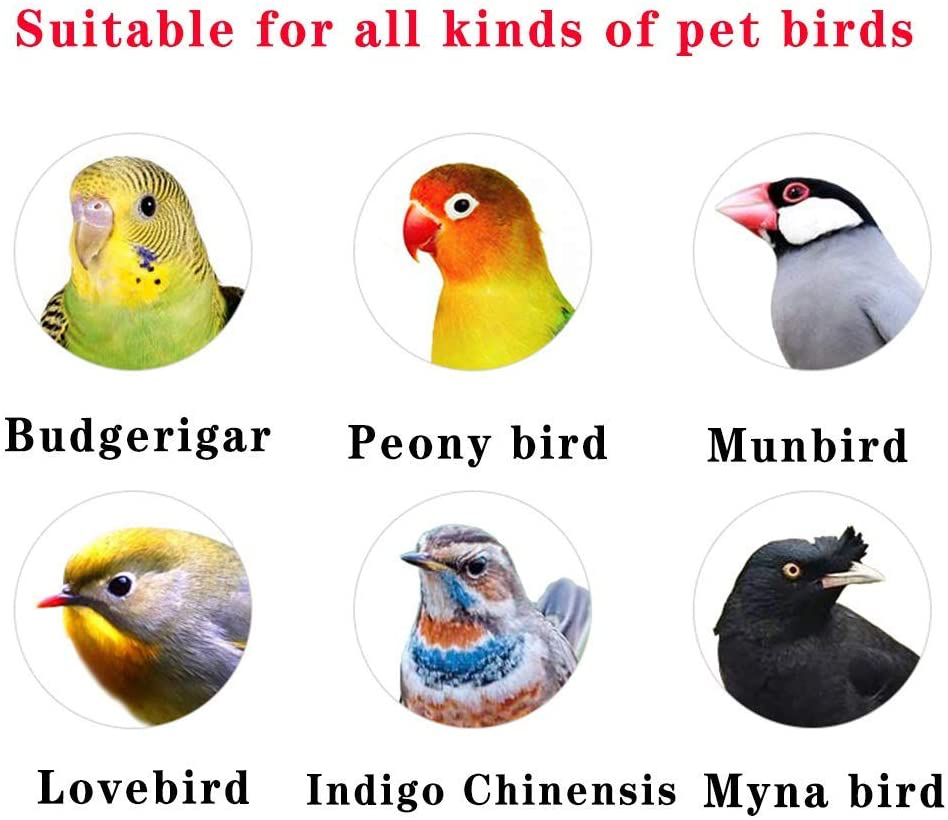 KUANDARM Clear Acrylic Bird Cages with Stand Bar Transparent Parrot Cage Travel Bird Carrier, Clear 40Cm Animals & Pet Supplies > Pet Supplies > Bird Supplies > Bird Cages & Stands KUANDARM   