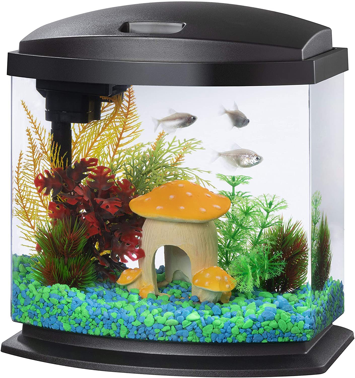 Aqueon LED Minibow Kit with Smartclean Technology Animals & Pet Supplies > Pet Supplies > Fish Supplies > Aquarium Fish Nets Aqueon Black 2.5 Gallon (ECOM) 