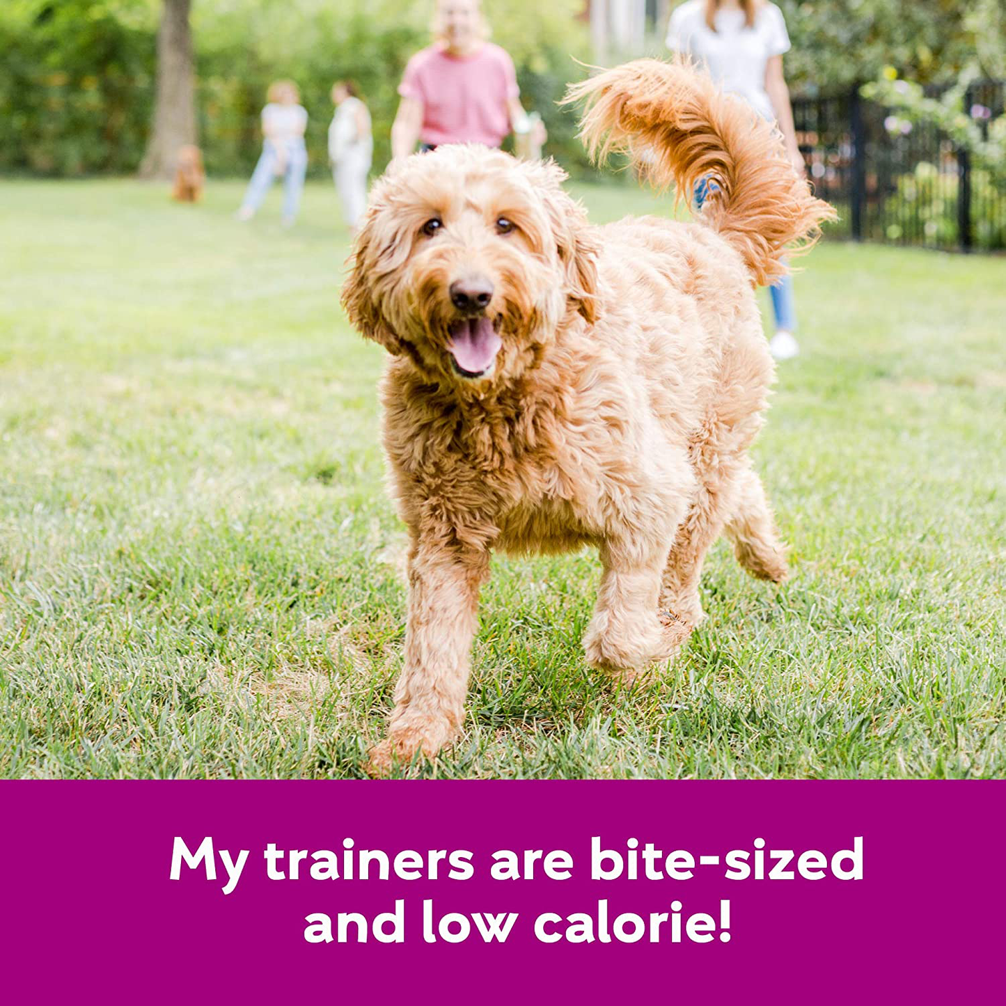 Buddy Biscuits Training Bites for Dogs, Low Calorie Dog Treats Baked in the USA