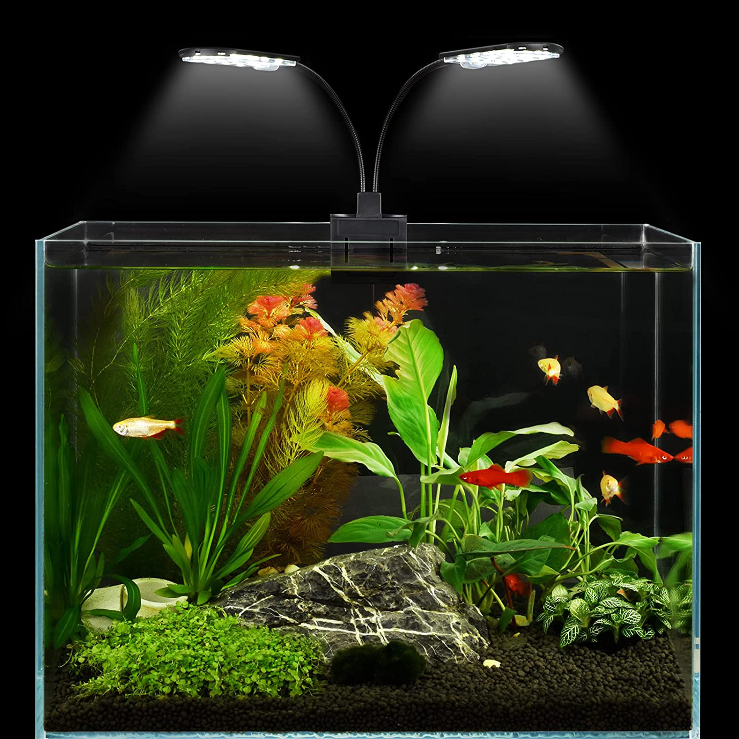 WEAVERBIRD Double Head Aquarium Fish Tank Light 15W 32 LED Aquarium Planted Clip Lamp 1600LM White LED Lighting for 8-15 Inch Fish Tank Animals & Pet Supplies > Pet Supplies > Fish Supplies > Aquarium Lighting WEAVERBIRD   