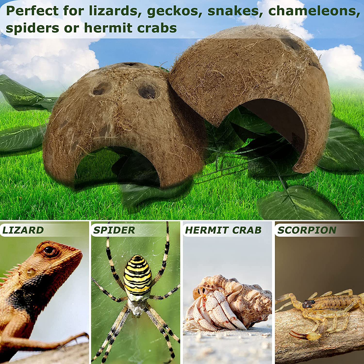 Hamiledyi Reptile Hideouts Natural Coconut Shells Hut Small Animal Hide Cave Hermit Crab Climbing Toys Lizard Habitat Decor Plant Leaves Decoration for Gecko Spider Snake Chameleon (4Pcs) Animals & Pet Supplies > Pet Supplies > Small Animal Supplies > Small Animal Habitat Accessories Hamiledyi   