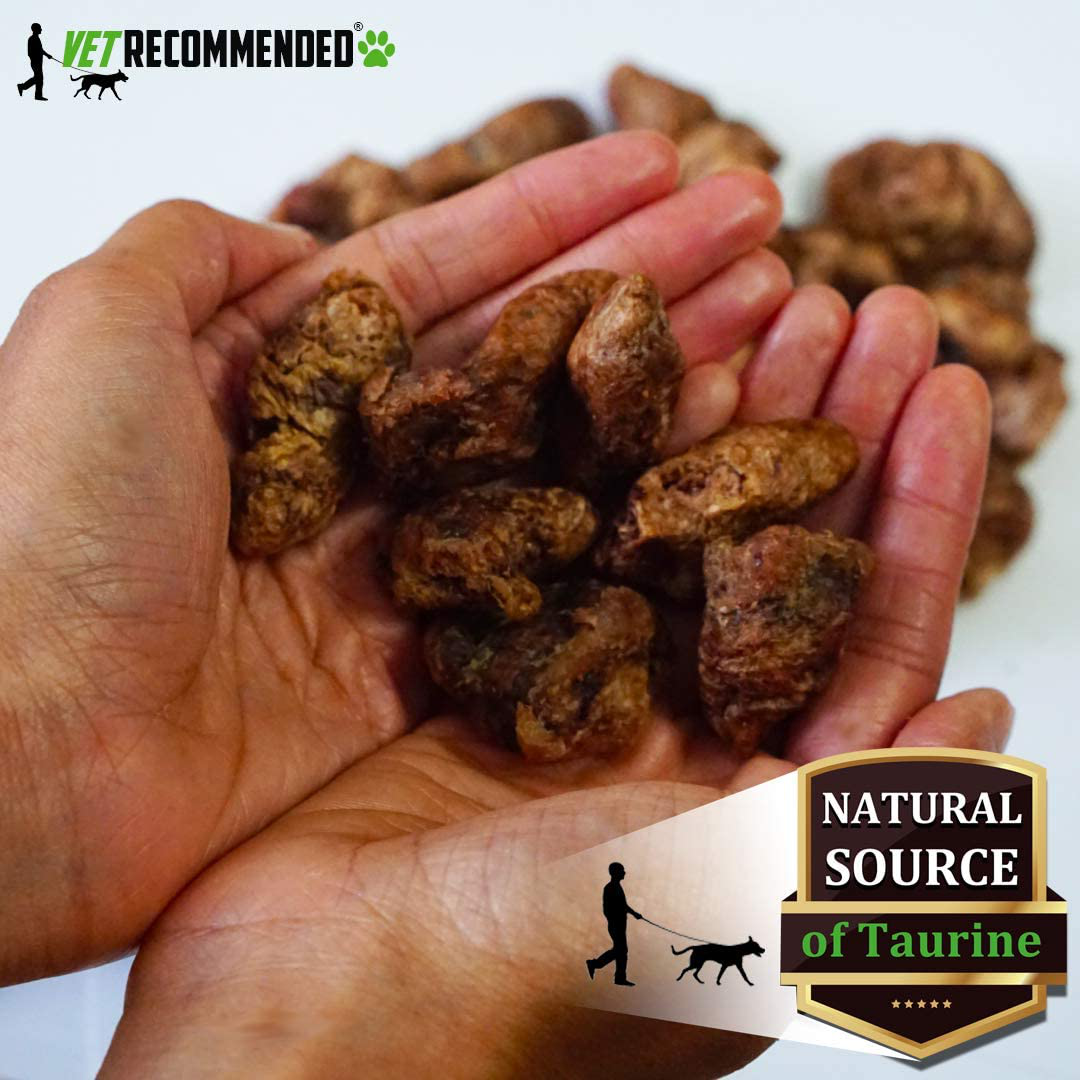 Vet Recommended - Whole Chicken Hearts for Dogs & Cats (Giant 5Oz Bag) - Freeze Dried All Natural Dog Treats - Perfect Organ Meat for Dogs & Cats - Human Grade - Natural Source of Taurine - USA Made Animals & Pet Supplies > Pet Supplies > Small Animal Supplies > Small Animal Treats Vet Recommended   