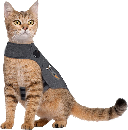 Thundershirt Thundershirt for Cats Animals & Pet Supplies > Pet Supplies > Cat Supplies > Cat Apparel Thundershirt Grey Large ( > 13 lbs) 