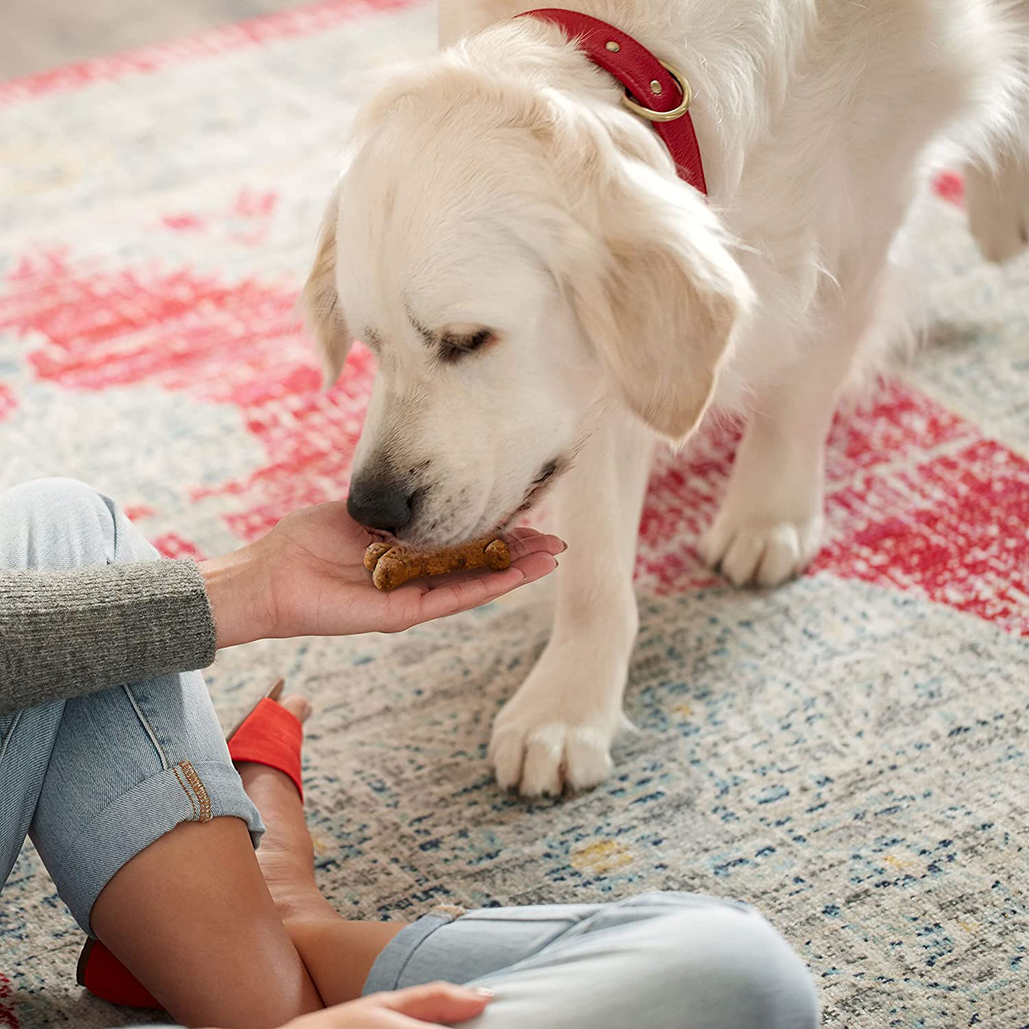 Milk-Bone Gravy Bones Dog Biscuits, 4 Meaty Flavors with 12 Vitamins & Minerals Animals & Pet Supplies > Pet Supplies > Small Animal Supplies > Small Animal Treats J.M. SMUCKER COMPANY   