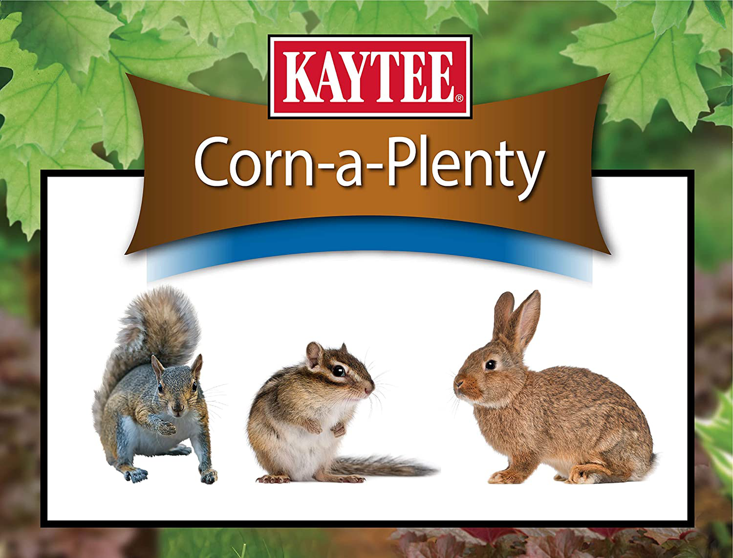 Kaytee 100037041 Corn a Plenty Seed Cake, 2.5 Pound (Pack of 1), Yellow Animals & Pet Supplies > Pet Supplies > Small Animal Supplies > Small Animal Food Kaytee   