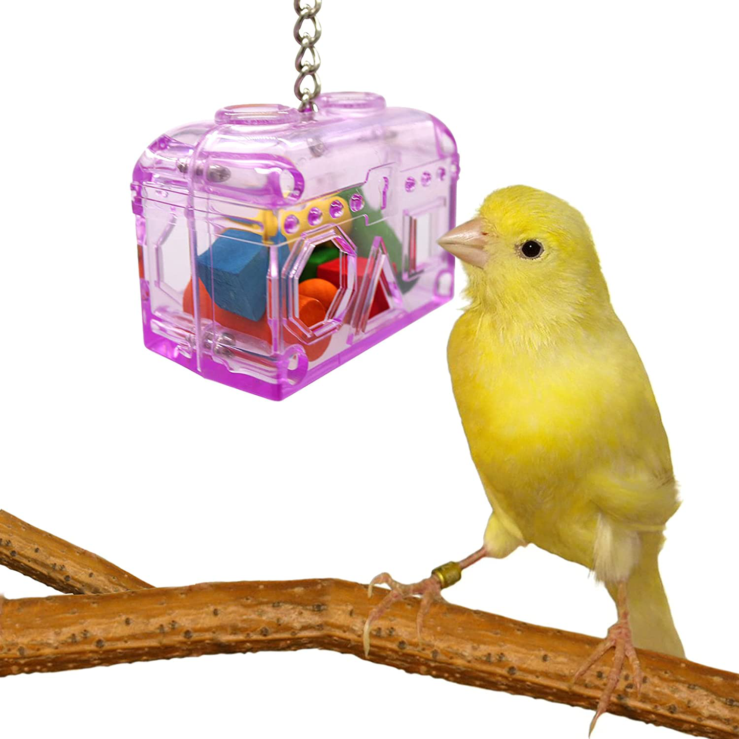 Sweet Feet and Beak Large or Small Treasure Chest - Perfect Bird Cage Toy Colorful, Safe, Easy to Install - Washable, Refillable, Non-Toxic, Foraging Box - Cage Accessories Animals & Pet Supplies > Pet Supplies > Bird Supplies > Bird Cage Accessories Sweet Feet and Beak   