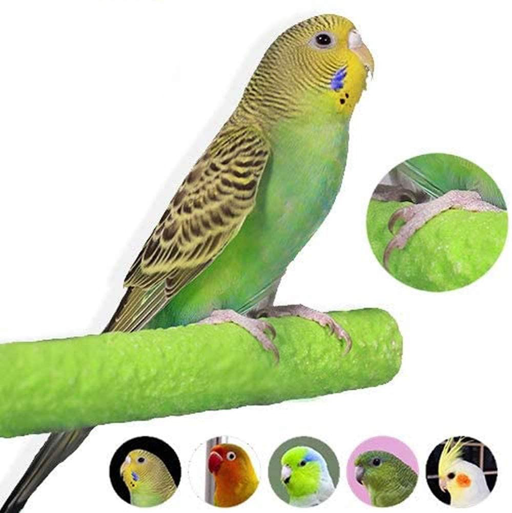 Colorful Bird Perch Stand Platform Natural Wood Playground Paw Grinding Clean for Pet Parrot Budgies Parakeet Cockatiels Conure Lovebirds Rat Mouse Cage Accessories Exercise Toys (4 Color) Animals & Pet Supplies > Pet Supplies > Bird Supplies > Bird Cage Accessories Mrli Pet   
