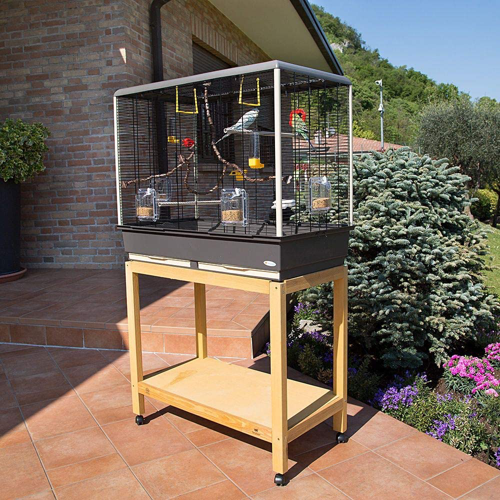 Ferplast Large Cage for Canaries, Budgerigars and Small Exotic Birds, Piano 6 Complete with Accessories, Modular Perch and Revolving Feeders, Sturdy Varnished Metal with Plastic Bottom Animals & Pet Supplies > Pet Supplies > Bird Supplies > Bird Cage Accessories Ferplast   