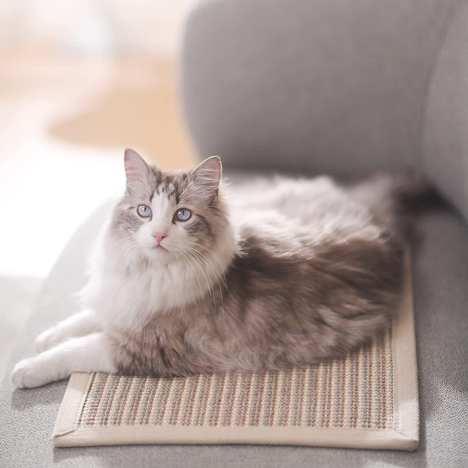 FUKUMARU Cat Scratcher Mat, 23.6 X 15.7 Inch Natural Sisal Cat Scratch Mats, Horizontal Cat Floor Scratching Pad Rug, Protect Carpets and Sofas Animals & Pet Supplies > Pet Supplies > Cat Supplies > Cat Furniture FUKUMARU   