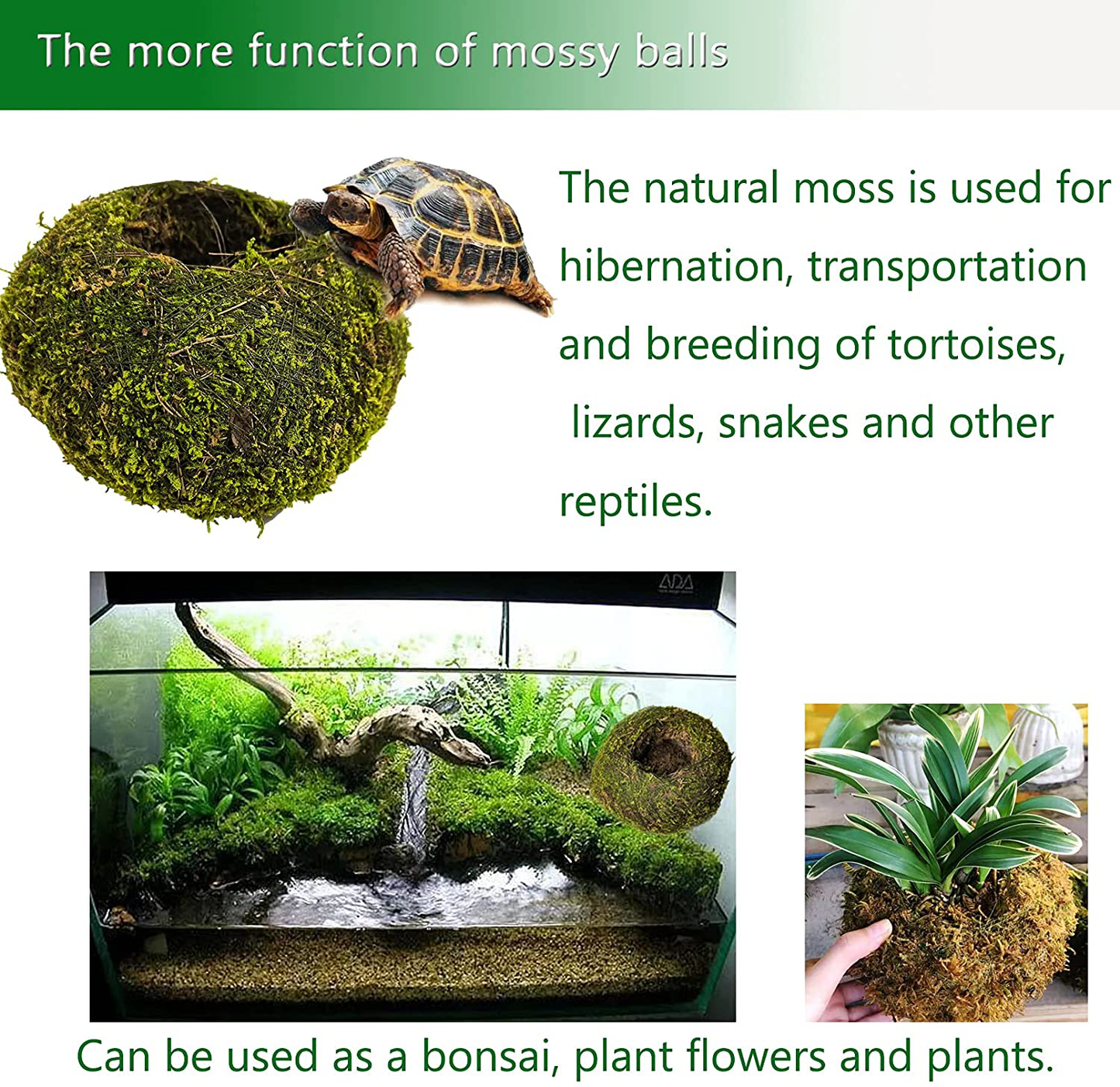 Hamiledyi Reptile Moss Cave Hide,Gecko Habitat Hammock Green Moss Accessories Plastic Terrarium Plant Vines for Small Bearded Dragon,Snakes,Chameleon Climbing Hibernation Sleeping Animals & Pet Supplies > Pet Supplies > Reptile & Amphibian Supplies > Reptile & Amphibian Habitat Accessories Hamiledyi   