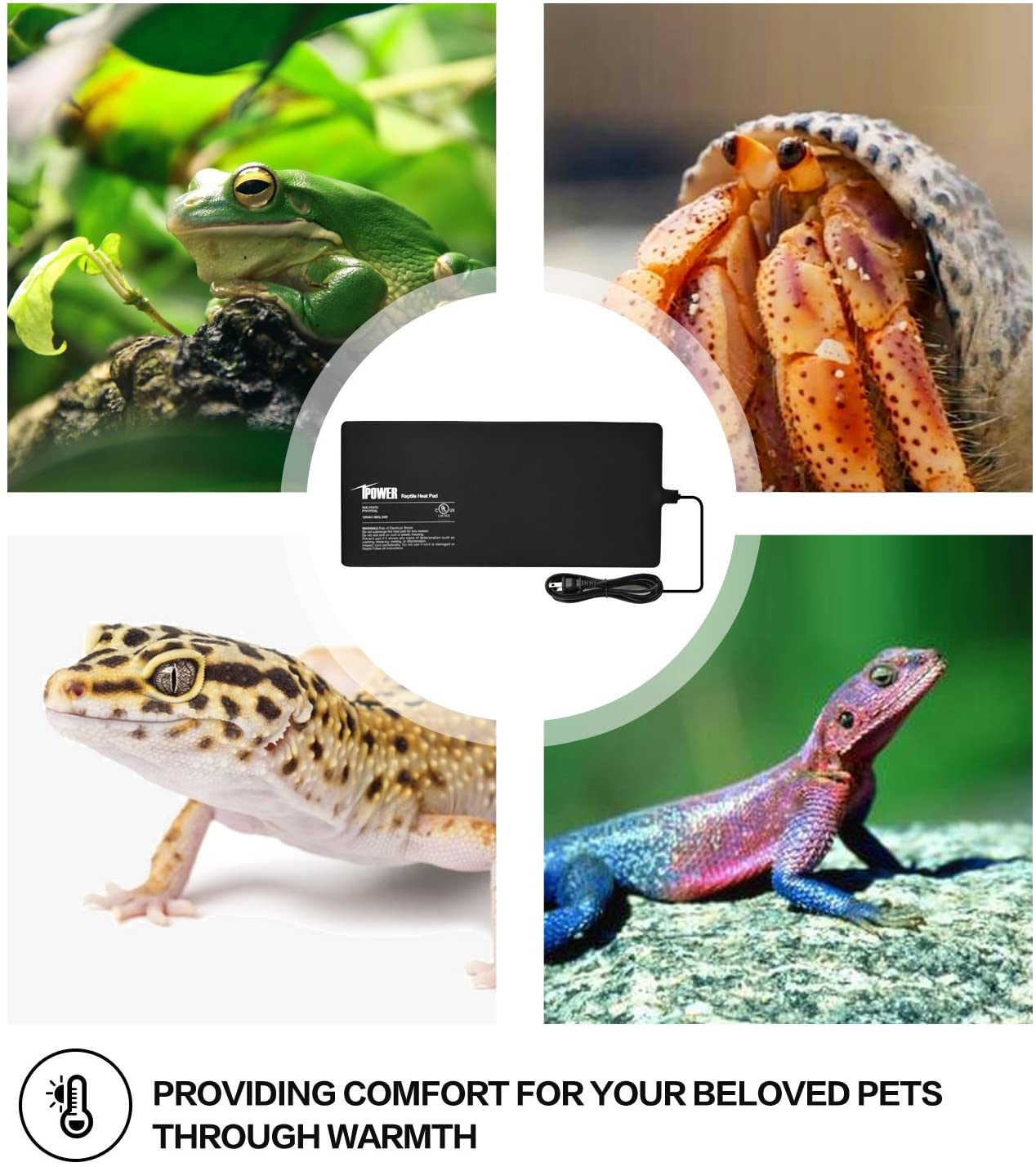 Ipower Reptile Heat Pad 4W/8W/16W/24W under Tank Terrarium Warmer Heating Mat and Digital Thermostat Controller for Turtles Lizards Frogs and Other Small Animals, Multi Sizes