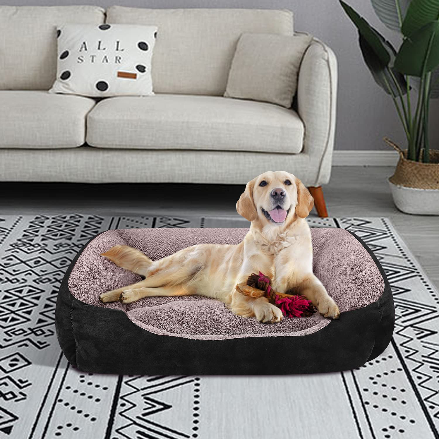 PUPPBUDD Pet Dog Bed for Medium Dogs(Xxl-Large for Large Dogs),Dog Bed with Machine Washable Comfortable and Safety for Medium and Large Dogs or Multiple Animals & Pet Supplies > Pet Supplies > Dog Supplies > Dog Beds PUPPBUDD   
