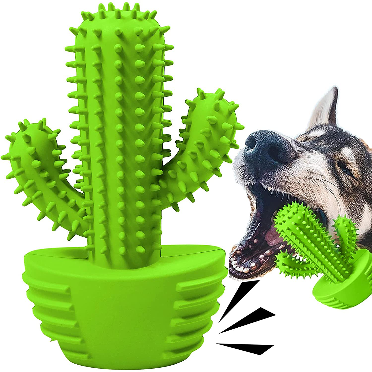 Dog Chew Toys Dog Toothbrush Stick Teeth Cleaning Brush Dental for Small Medium Large Dog, Rubber Dog Squeaky Toys for Aggressive Chewers Cactus Tough Toys Interactive for Training Cleaning Teeth Animals & Pet Supplies > Pet Supplies > Dog Supplies > Dog Toys Pamlulu Grass-green L 