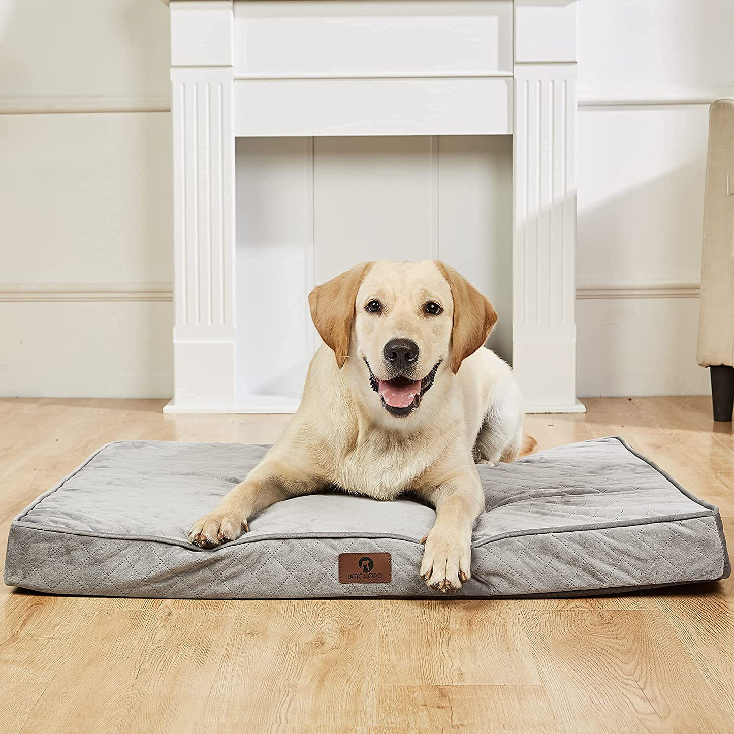 Can you wash egg crate foam dog bed deals