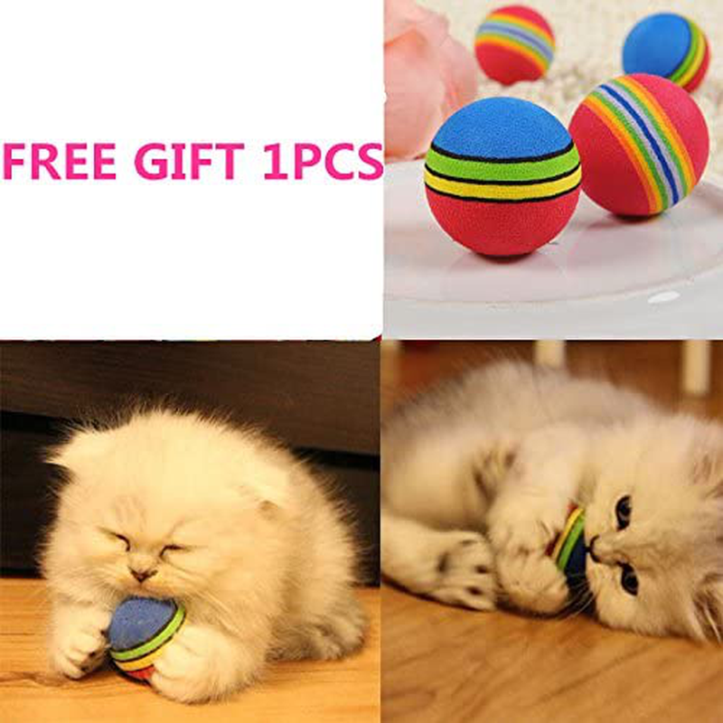 Cat Toy, Cat Play Mat Activity Pet Kitten Padded Bed Cat Play Center with  Hanging Toy Balls and Mice for Cats