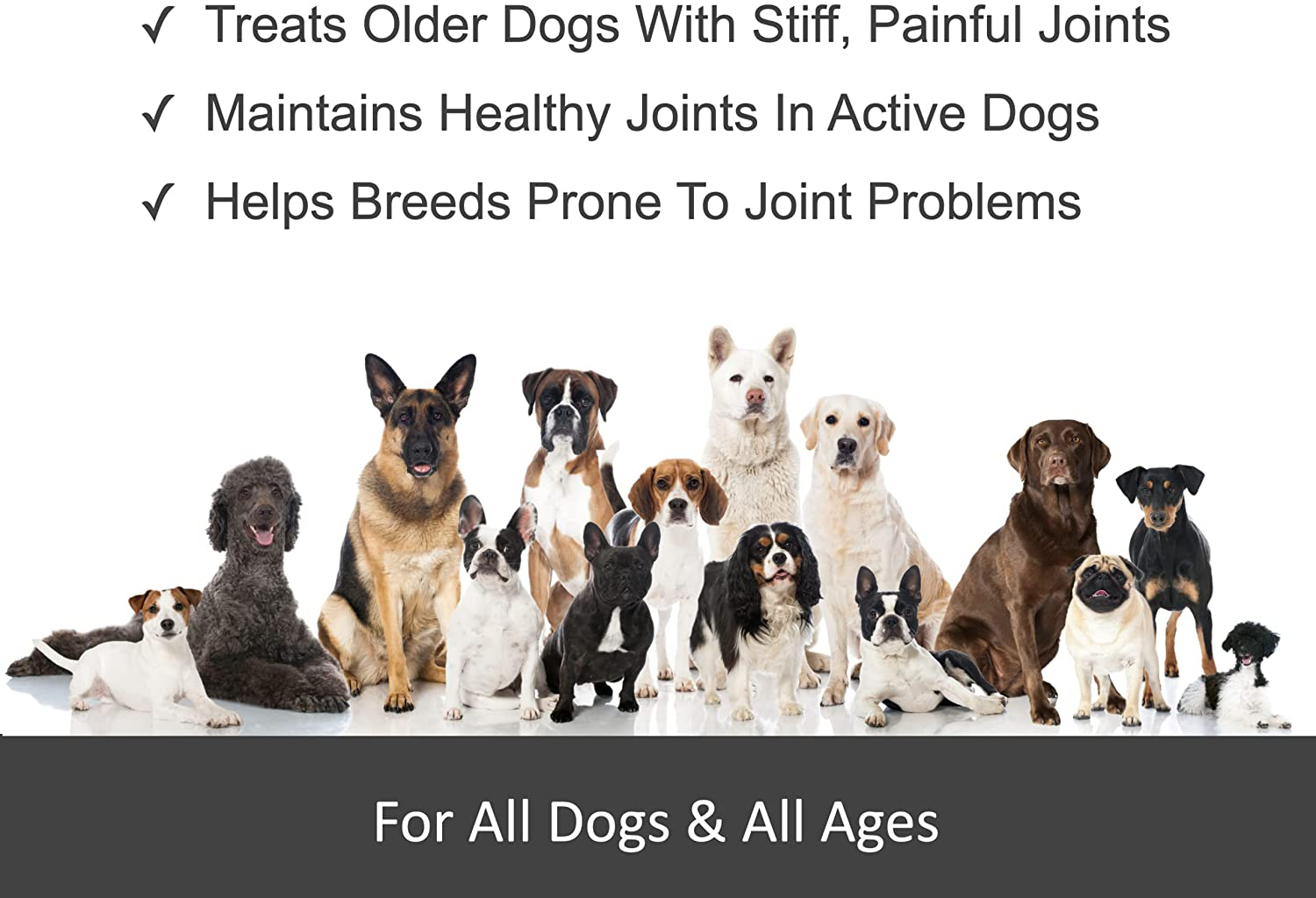 Joint Repair Advanced Hip & Joint Supplement for All Dogs. Naturally Relieves Arthritis, Pain & Inflammation. Extra Strength Chews: Glucosamine, Chondroitin, MSM, Turmeric & Omega 3. Made in USA Animals & Pet Supplies > Pet Supplies > Small Animal Supplies > Small Animal Food Finest For Pets   