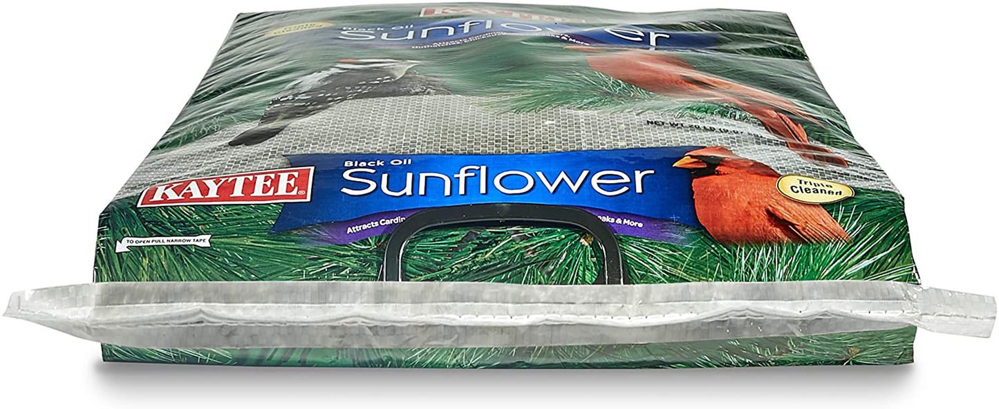 Kaytee Wild Bird Black Oil Sunflower Food, 20 Pounds Animals & Pet Supplies > Pet Supplies > Bird Supplies > Bird Food Kaytee   