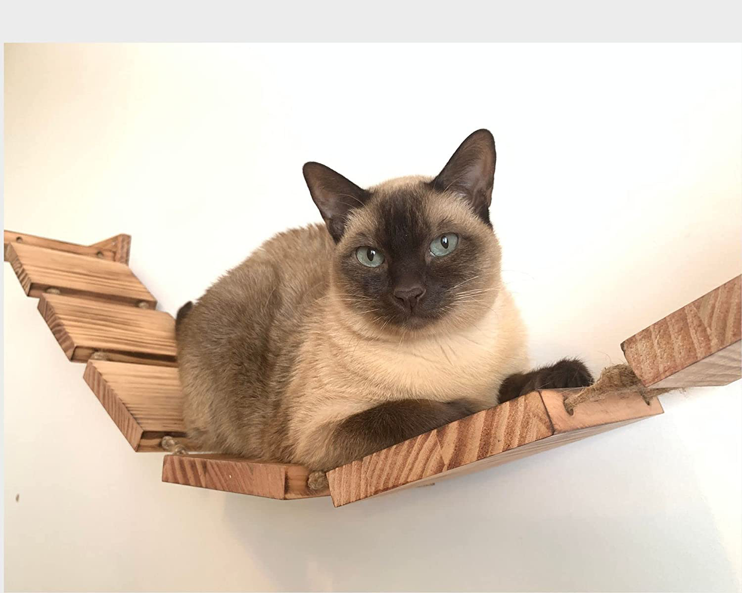 Olive & D Wall Mounted Cat Shelf Curved Perch. Sturdy Wooden Floating Hammock Bridge 56.7 Inches of Handcrafted Natural Pine. Sturdy, Wide Bed, Fully Assembled Easy Install. Animals & Pet Supplies > Pet Supplies > Cat Supplies > Cat Furniture Olive & D   