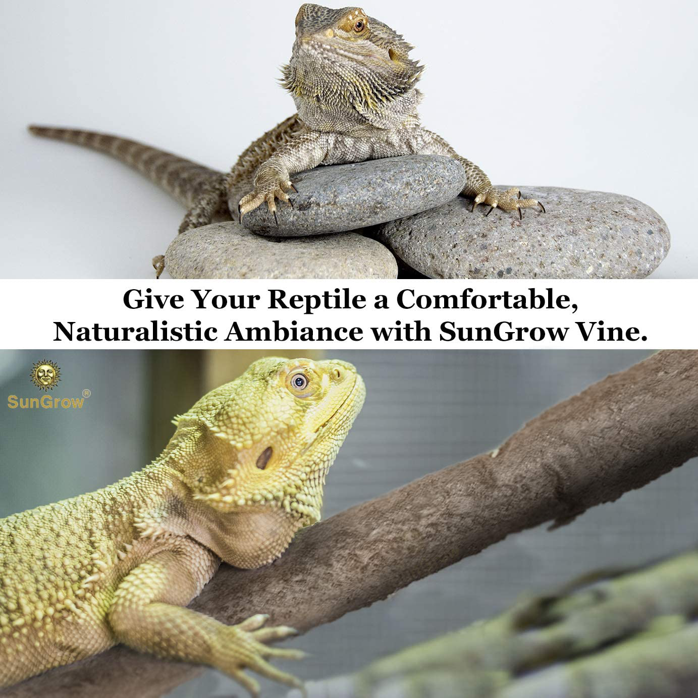 Sungrow Animal Vine, 6 Feet Long, Twistable Branch, Creates Realistic Habitat for Reptiles and Amphibians, Décor and Climbing Toy for Chameleons, Tree Frogs and Geckos, Includes 5 Suction Cups