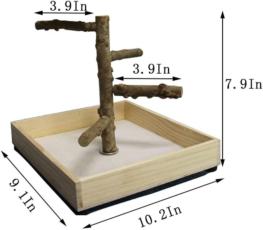 Hamiledyi Bird Perch Stand Tabletop,Parrot Playground Bird Gym Natural Wooden Perch Playstand Platform for Parrots Parakeets Canaries Cockatiels Conure Lovebirds Animals & Pet Supplies > Pet Supplies > Bird Supplies > Bird Gyms & Playstands Hamiledyi   