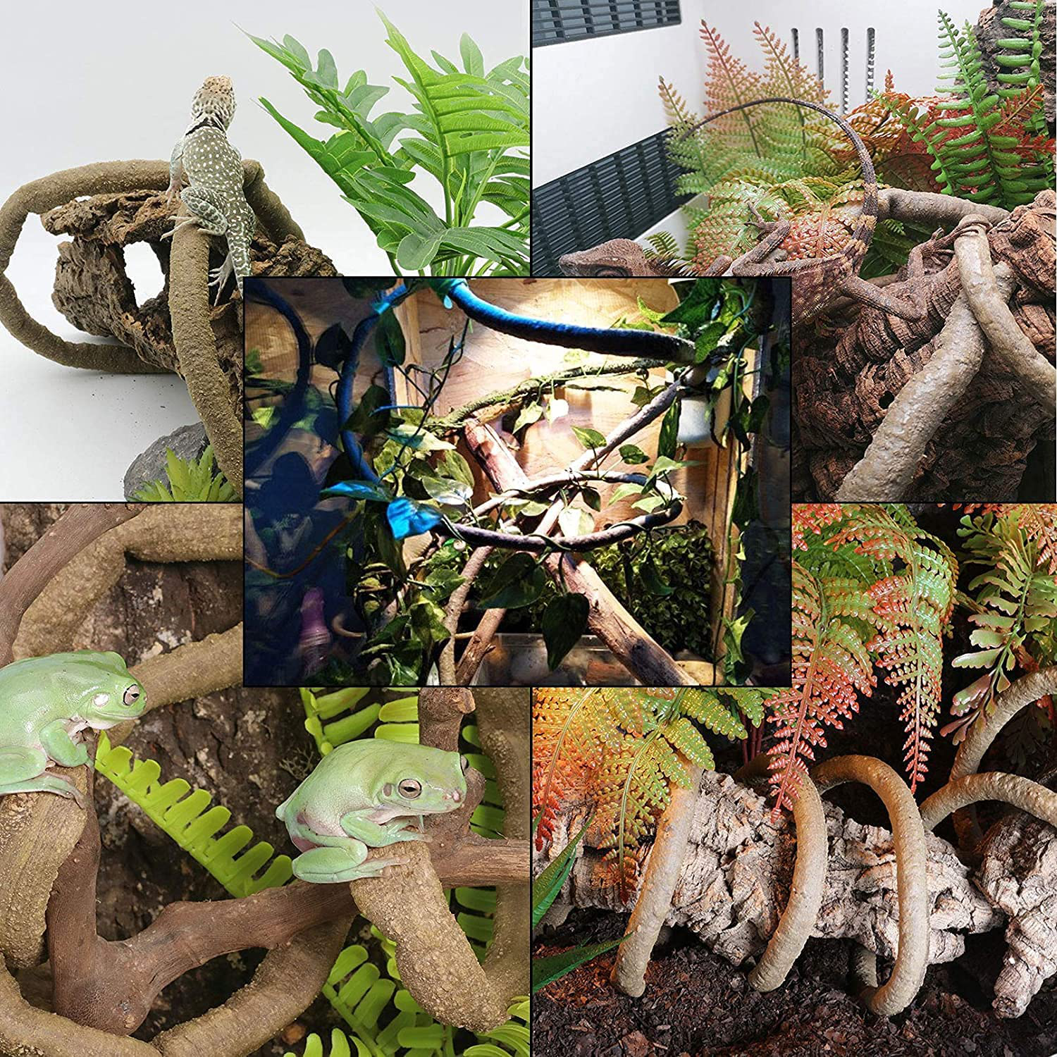 Hamiledyi Reptile Coconut Shell Hideout 5 Pack Lizard Coco Hut Durable Cave Habitat Jungle Climber Vines Flexible Plants Gecko Tank Accessories Decor for Chameleons Spiders Snakes Climbing Toys