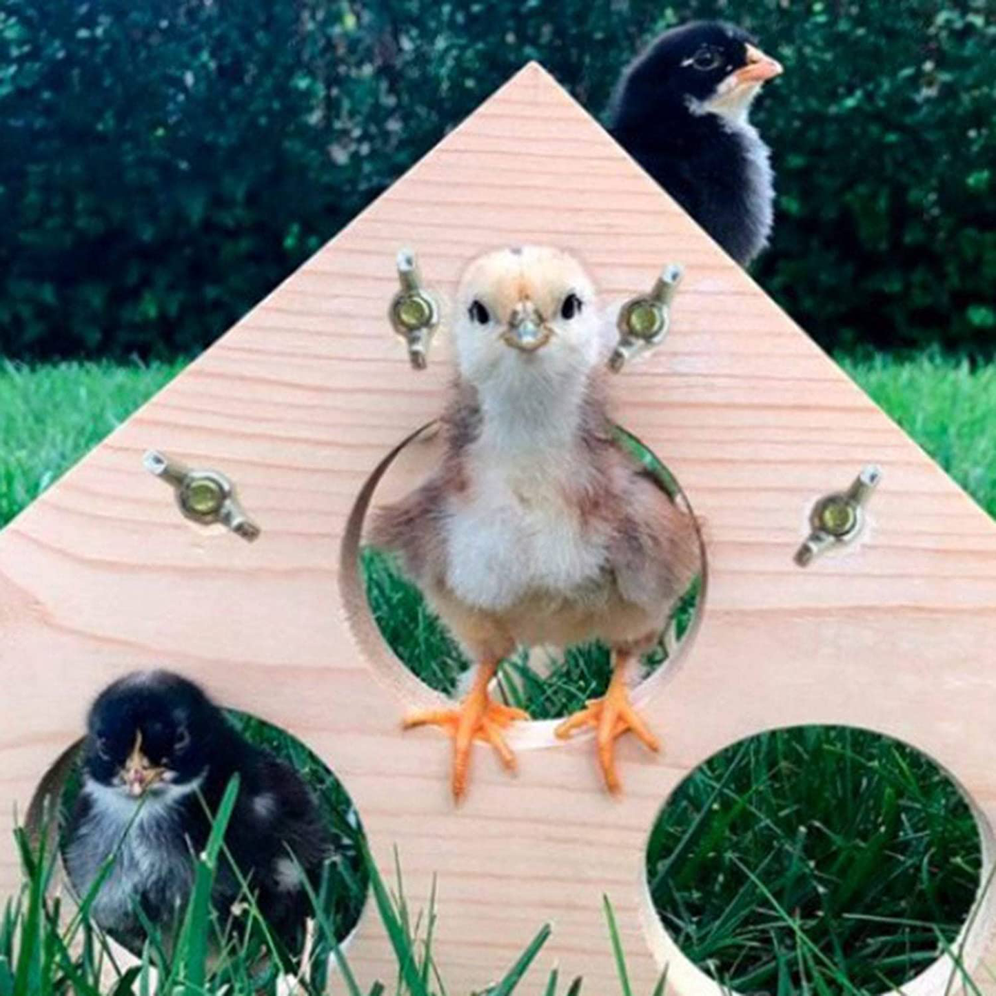 Gazechimp Parrot Wooden Perch,Bird Wood Stand Parrot Grinding Perch Table Platform Play Gym Toys for Cockatiels, Conures, Parakeets, Finch,African Greys Animals & Pet Supplies > Pet Supplies > Bird Supplies > Bird Gyms & Playstands gazechimp   