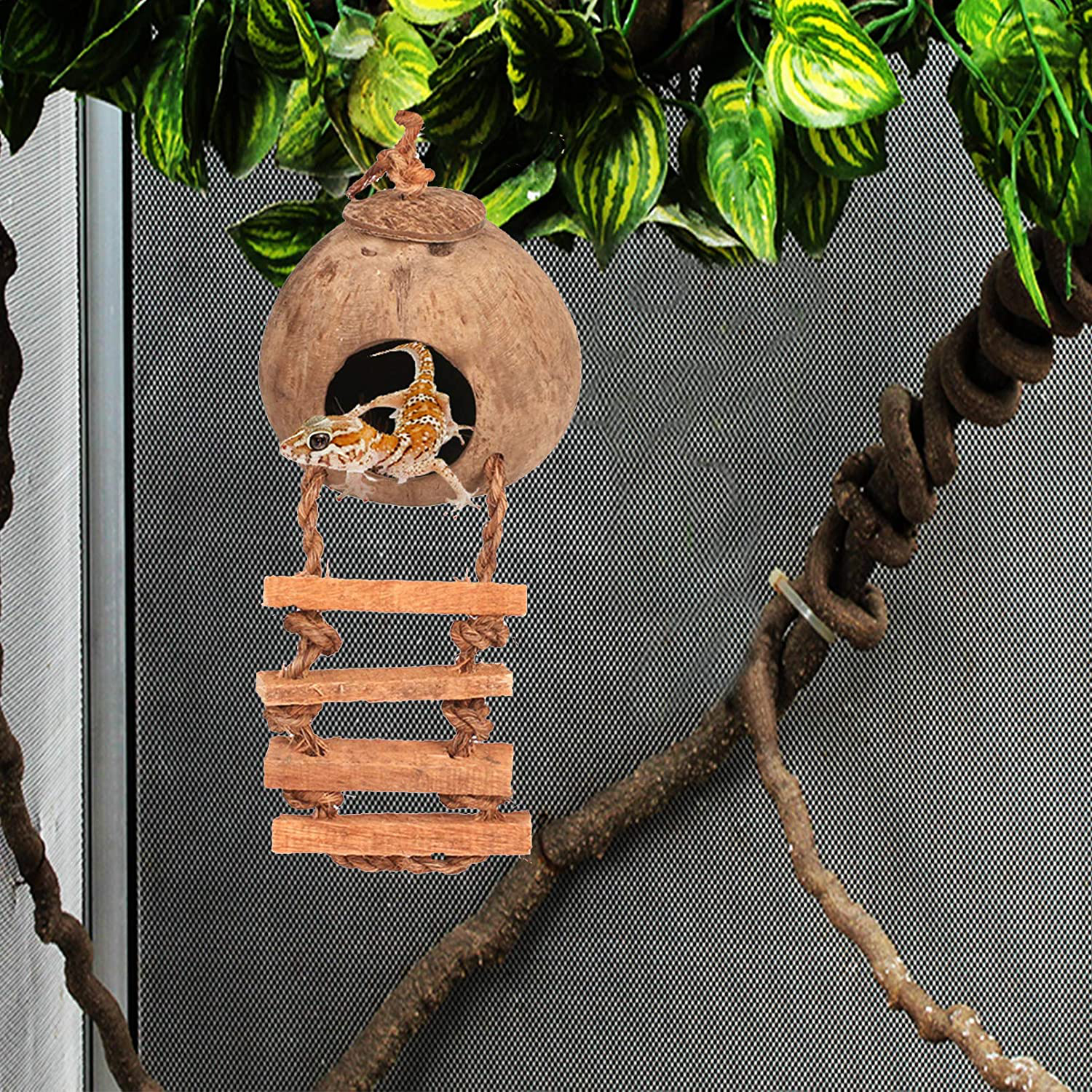 Tfwadmx Reptile Hide Coconut with Ladder,Natural Gecko Hanging Hideout Cave Hut Climbing Jungle Vine Flexible Reptile Leaves with Coconut Fiber for Turtle Beared Dragon Spider Lizard Frog Chameleon. Animals & Pet Supplies > Pet Supplies > Reptile & Amphibian Supplies > Reptile & Amphibian Habitat Accessories Tfwadmx   