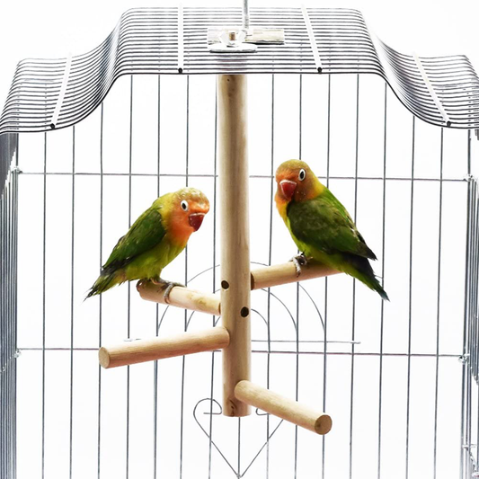 Bonaweite Bird Stand for Cage Parrot Perch Climbing Tree Toy Birdcage Decor Wood Laddered Platform Play Gym Stand Playstand Exercise Training Toys for Small Medium Conures Cockatiels Parrotlets Finch Animals & Pet Supplies > Pet Supplies > Bird Supplies > Bird Gyms & Playstands Bonaweite   