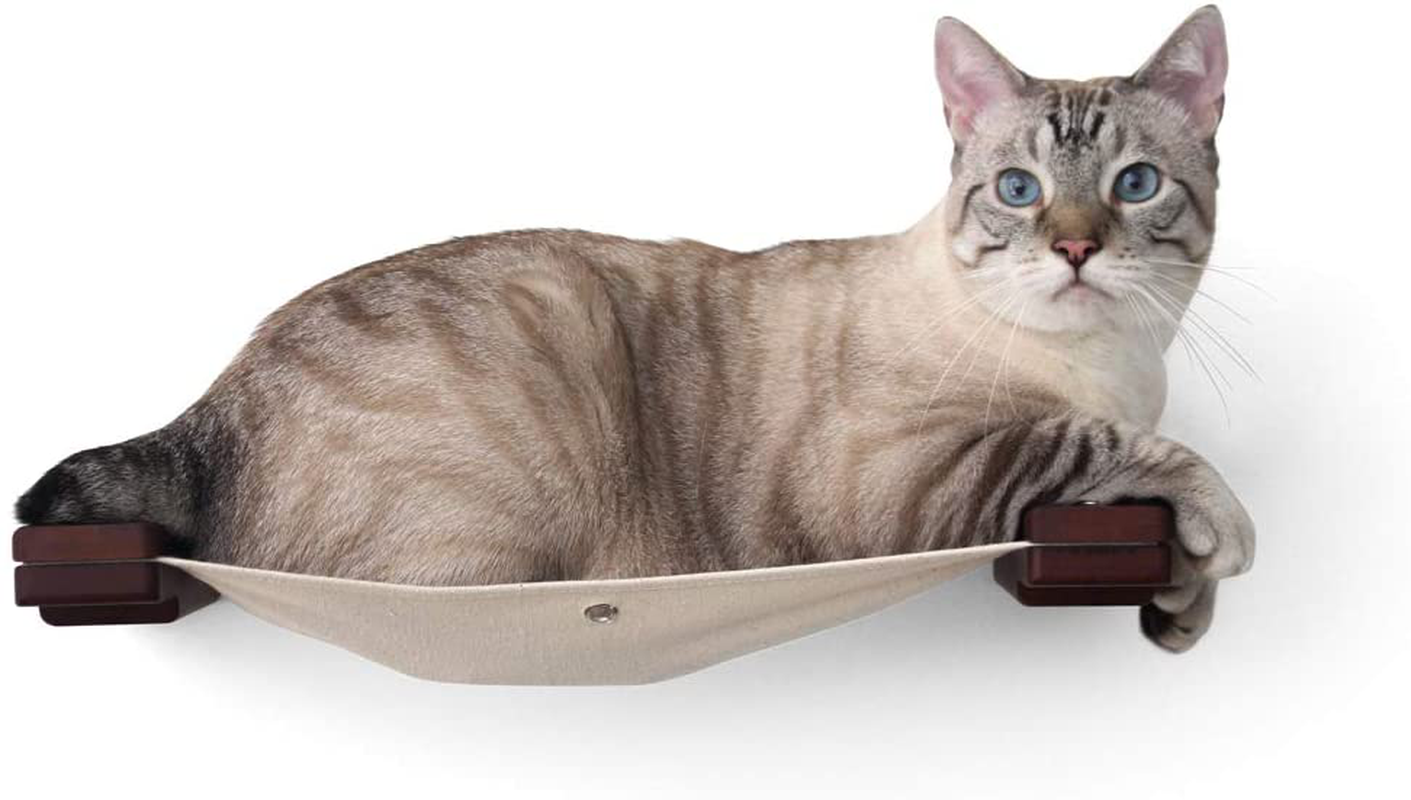 Catastrophicreations Cat Lounge Hammock Wall Mounted Lounger for Climb and Play Furniture Cat Tree Shelves Animals & Pet Supplies > Pet Supplies > Cat Supplies > Cat Furniture CatastrophiCreations   