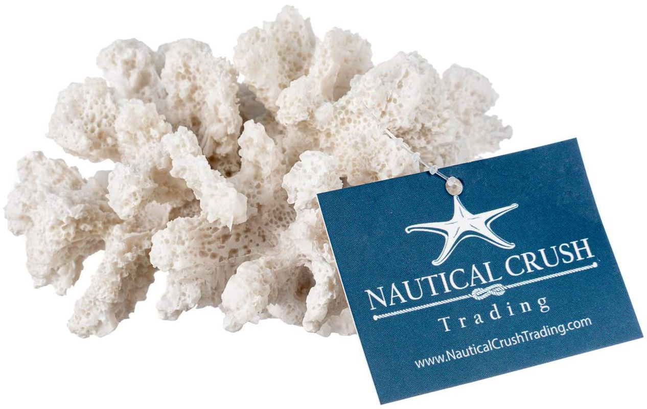 Nautical Crush Trading Decorative Sea Coral - 4In X 3.5In X 2.5In - Small White Coral for Beachy Decor - Perfect for Aquariums - Fish Tanks Animals & Pet Supplies > Pet Supplies > Fish Supplies > Aquarium Decor Nautical Crush Trading   