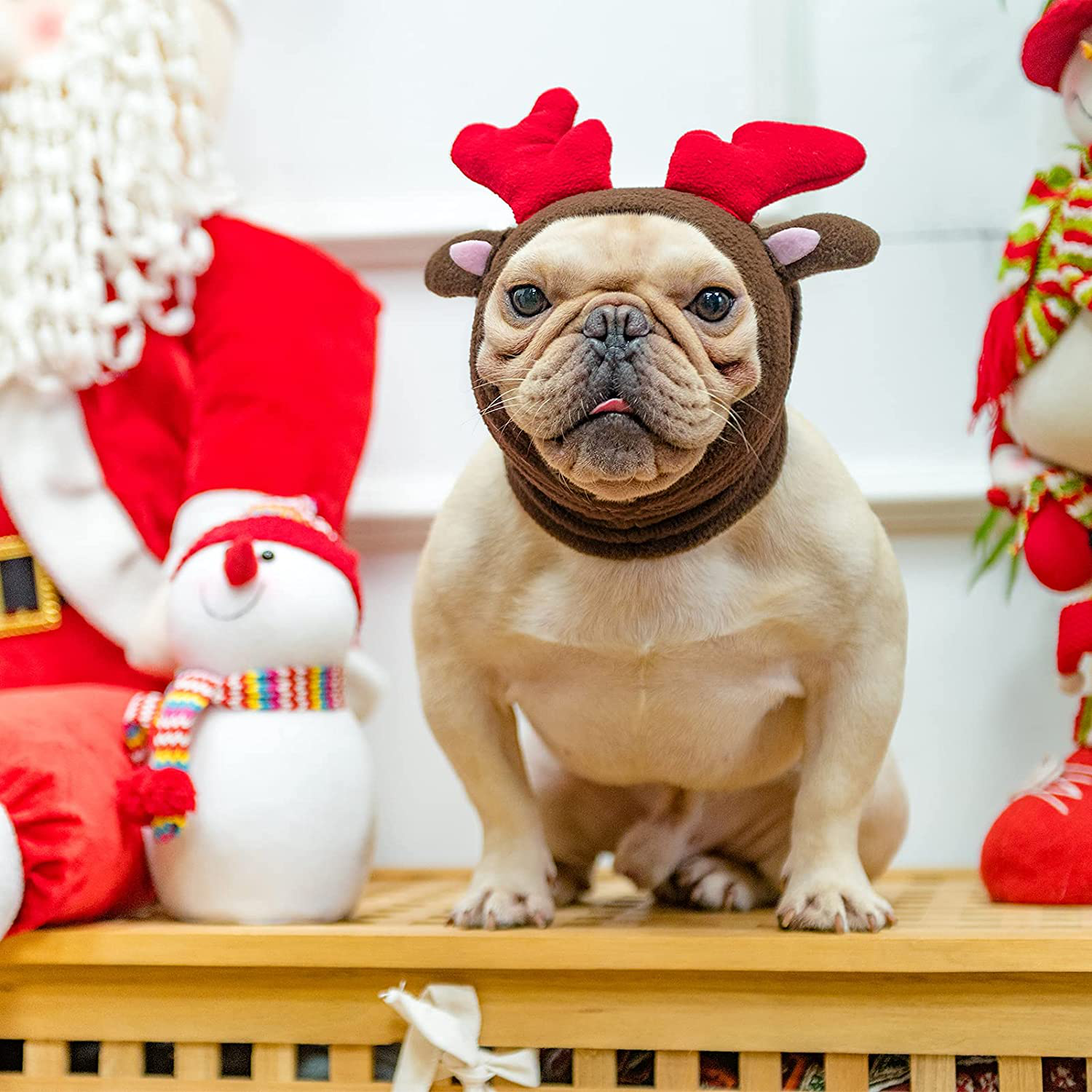 Small dog sales christmas costumes