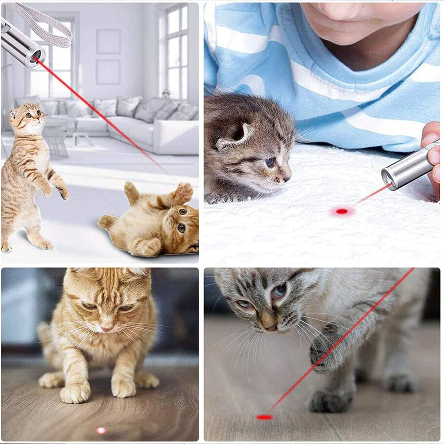 Cat Toys for Indoor Pets,Pet Pointer Toys Cat Wand Chasing Toys, Pet Toys for Indoor Kitten Play Chase Exercise Animals & Pet Supplies > Pet Supplies > Cat Supplies > Cat Toys EverWin   