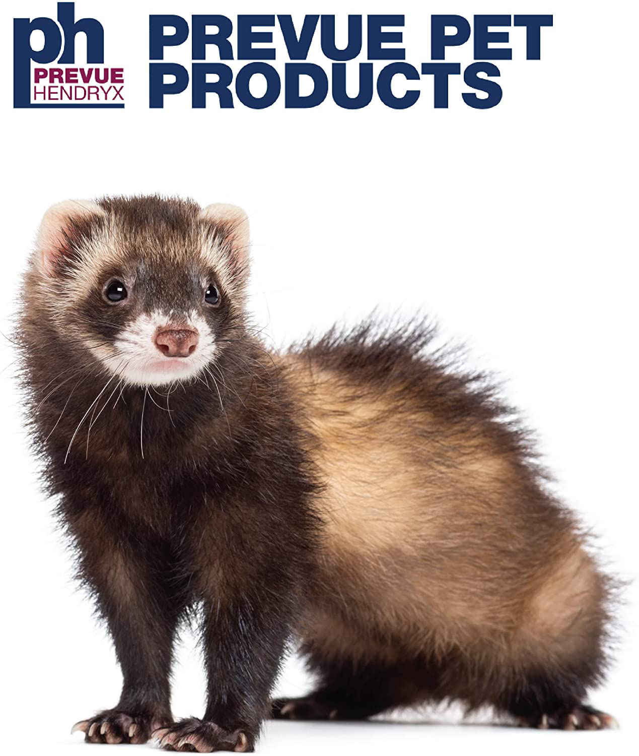 Prevue Hendryx Black Feisty Ferret Cage Animals & Pet Supplies > Pet Supplies > Small Animal Supplies > Small Animal Habitats & Cages Prevue Hendryx   