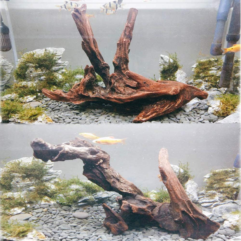 PINVNBY Natural Driftwood for Aquarium Fish Tank Decorations Assorted Branches Dearded Dragon Tank Accessories Terrarium Decor 4 Pack Animals & Pet Supplies > Pet Supplies > Fish Supplies > Aquarium Decor PINVNBY   