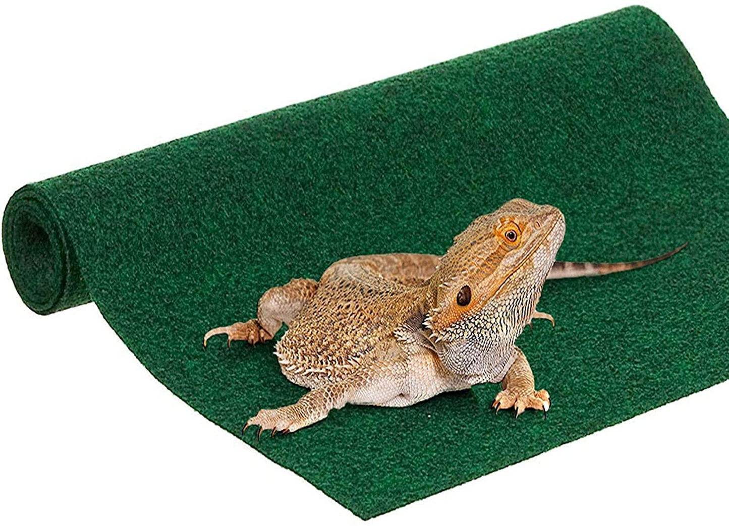 Sungrow Reptile Mat, 35” X 17”, Terrarium Substrate Liner, 0.12-Inch Thickness, Green Color Animals & Pet Supplies > Pet Supplies > Reptile & Amphibian Supplies > Reptile & Amphibian Substrates Marimo Pet Store   