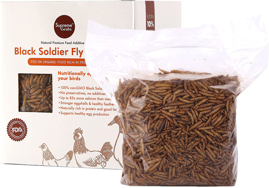 Supreme Grubs -Natural Black Soldier Fly Larvae for Chickens, 85X More Calcium than Mealworms-High Protein Grub Food Chicken Treats for Hens, Probiotic-Rich Chicken Feed and Calcium-Dense Bird Animals & Pet Supplies > Pet Supplies > Bird Supplies > Bird Treats Supreme Grubs 5.5 Pound (Pack of 1)  