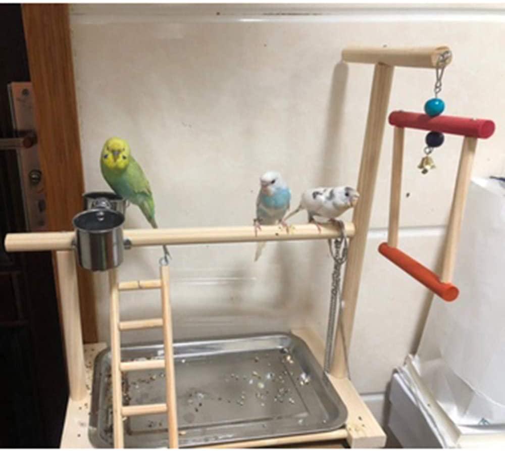 Bird Playground for Conures Cockatiel Parakeets Play Stand Gym Area Large Small Playpen Lift Activity Center Parrot Birdcage Cage Cockatoo Play Natural Wood with Feeder Cups Toys Ladder (Style 4) Animals & Pet Supplies > Pet Supplies > Bird Supplies > Bird Gyms & Playstands Gatycallaty   