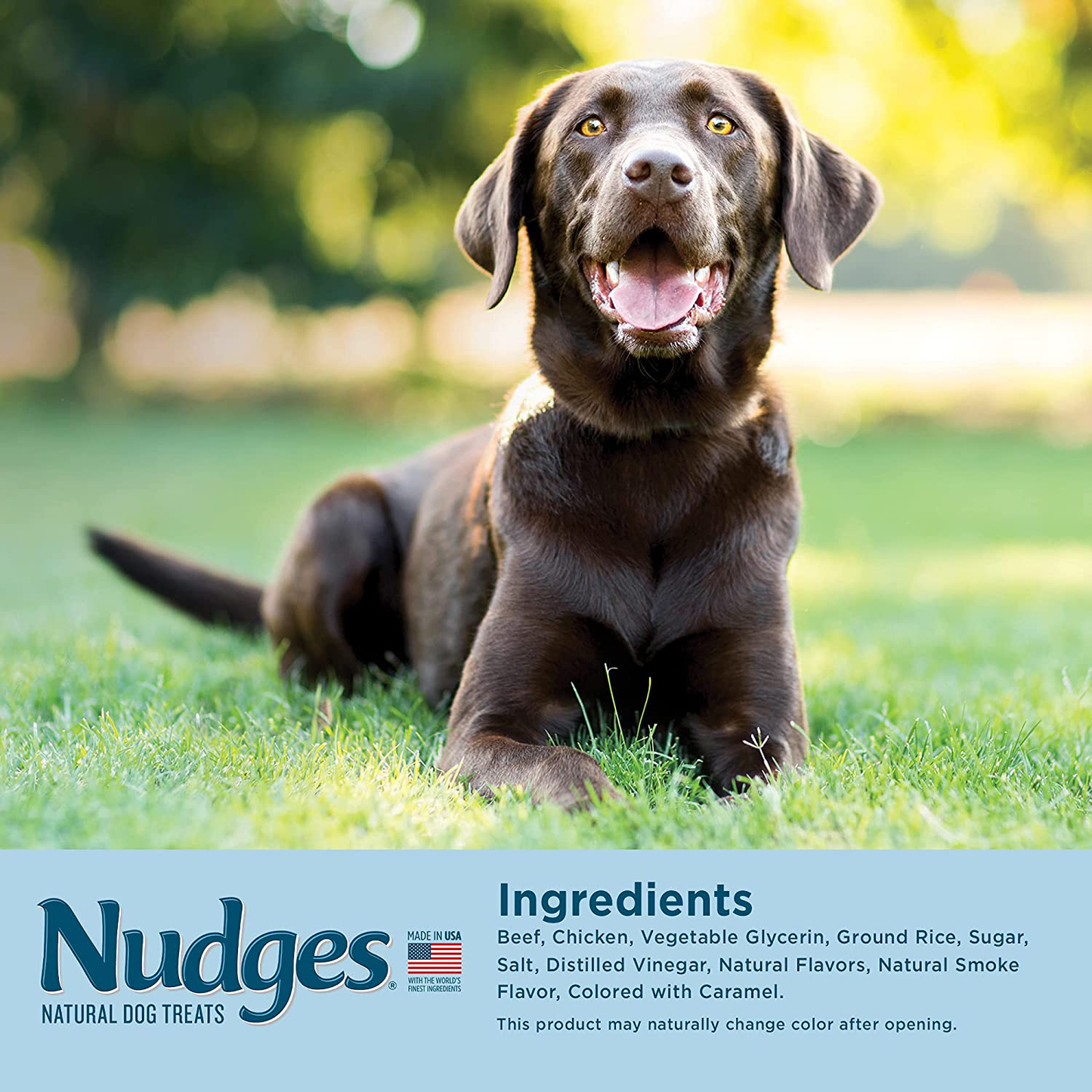 Nudges Natural Dog Treats Jerky Cuts Made with Real Steak Animals & Pet Supplies > Pet Supplies > Dog Supplies > Dog Treats Nudges   