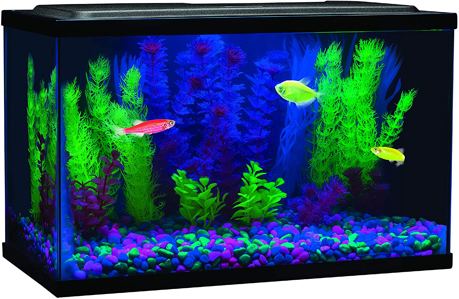 Glofish Blue LED Aquarium Light Animals & Pet Supplies > Pet Supplies > Fish Supplies > Aquarium Lighting GloFish   