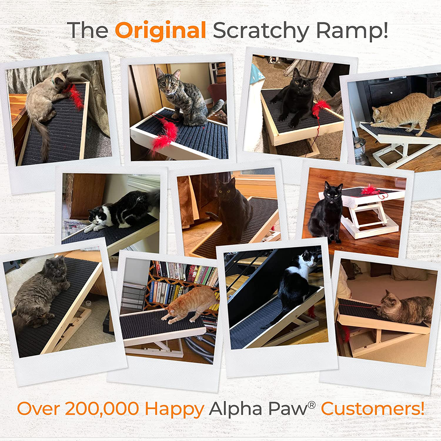 Alpha Paw Scratchyramp 2-In-1 Cat Ramp & Cat Scratcher - Pet Scratching Incline with Replaceable Carpet & Adjustable Height - Scratch Mat & Mobility Ramp for House Cats & Indoor Dogs Animals & Pet Supplies > Pet Supplies > Cat Supplies > Cat Beds Alpha Paw   