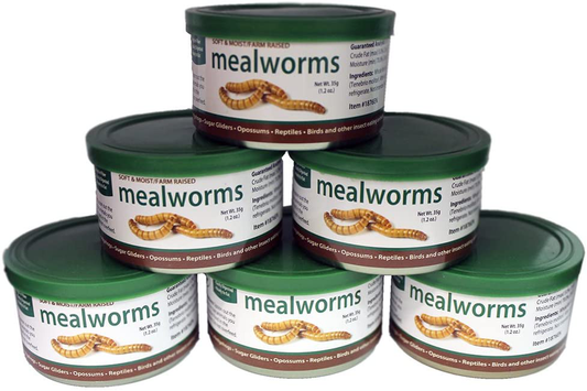 Canned Mealworms (1.2 Oz. 6 Pack) - Healthy High Protein Insect Treat - Hedgehogs, Sugar Gliders, Reptiles, Wild Birds, Chickens, Lizards, Bearded Dragons, Skunks, Opossums, Fish, Amphibians, Turtles Animals & Pet Supplies > Pet Supplies > Reptile & Amphibian Supplies > Reptile & Amphibian Food Exotic Nutrition   