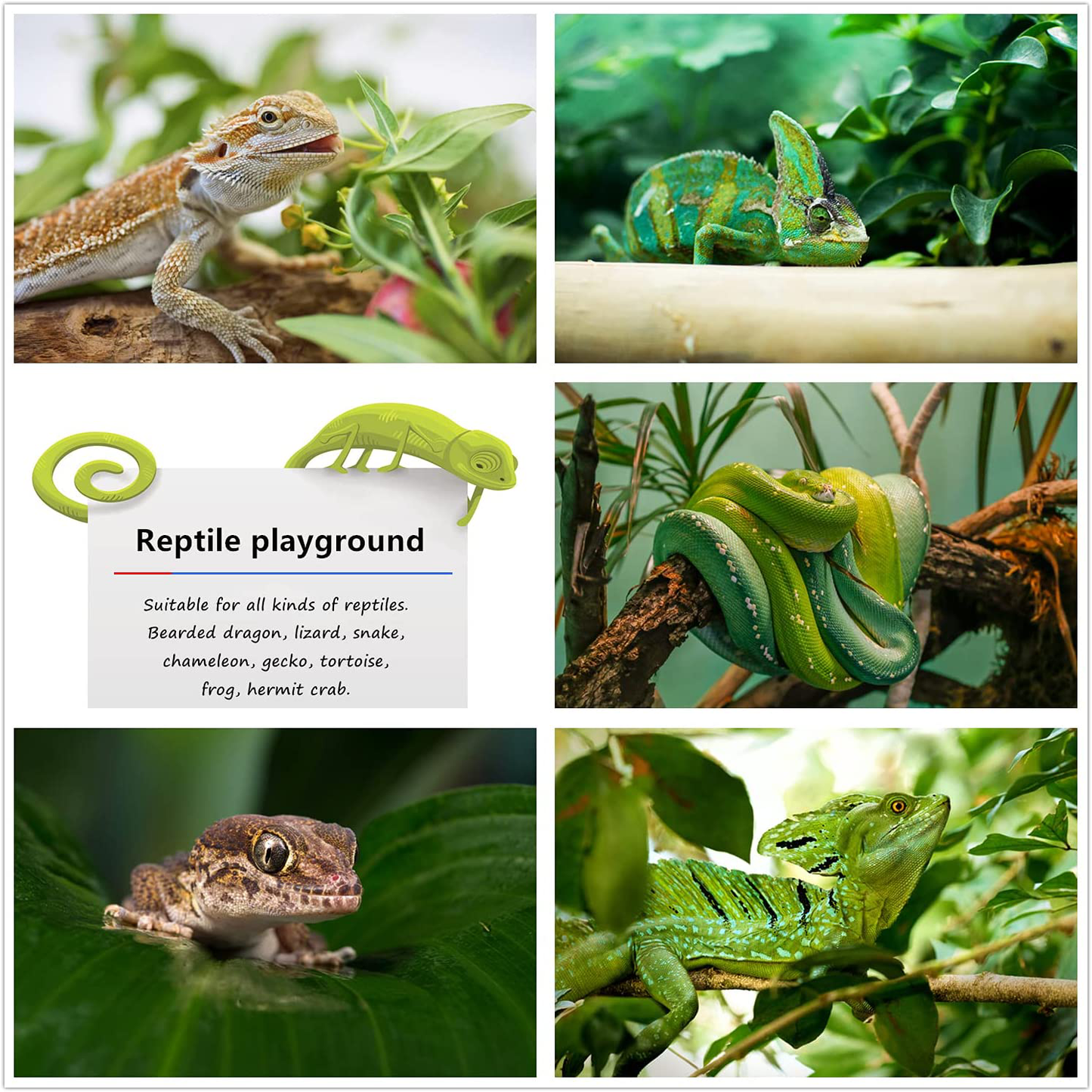 TTEIOPI Reptile Plants, Bendable Hanging Jungle Vines & Artificial Leaves Terrarium Tank Fake Plants Habitat Decorations with Suction Cup for Bearded Dragon Hermit Crab Lizard Snake Geckos Chameleon.
