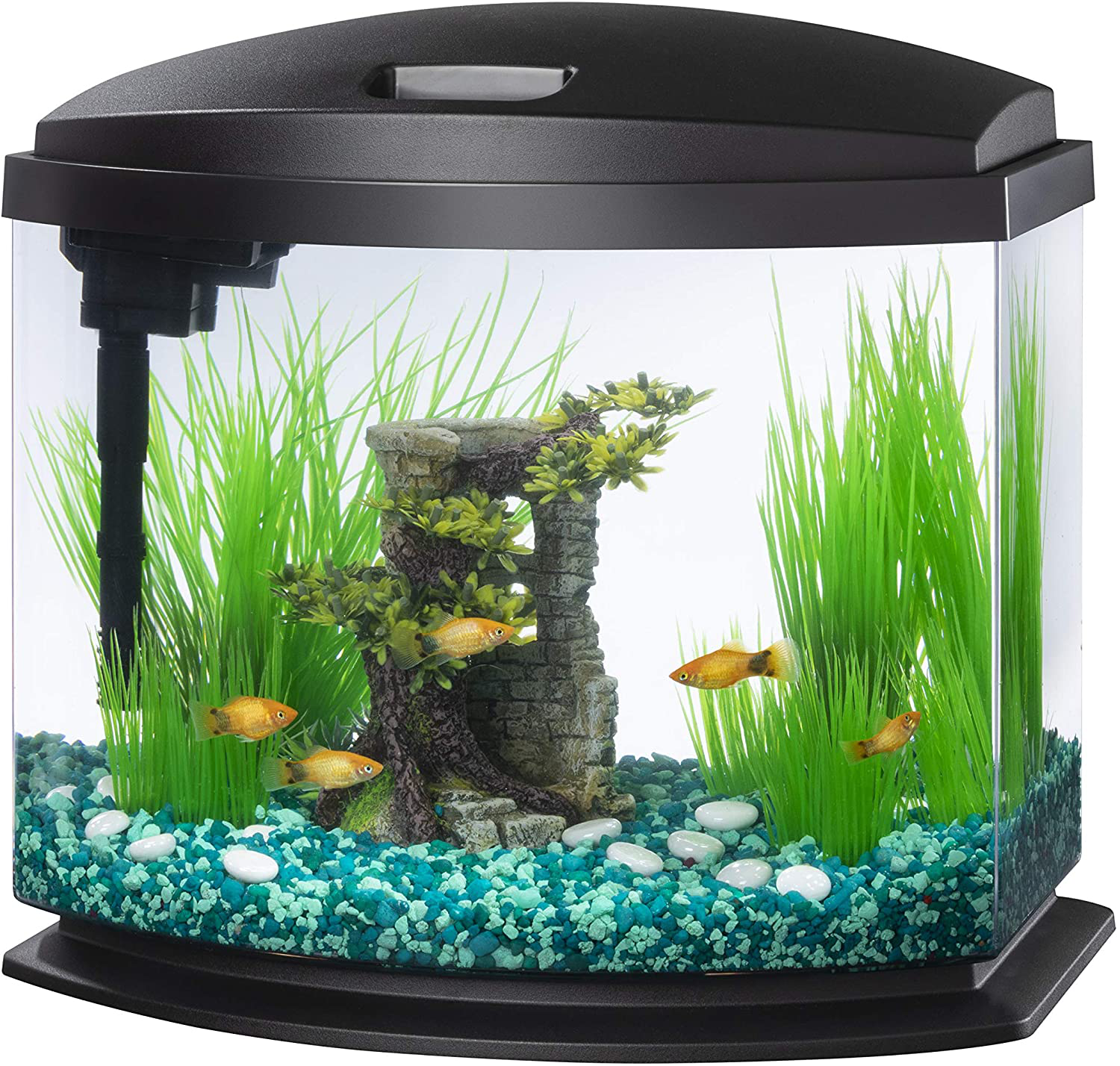 Aqueon LED Minibow Kit with Smartclean Technology Animals & Pet Supplies > Pet Supplies > Fish Supplies > Aquarium Fish Nets Aqueon Black 5 Gallon (ECOM) 