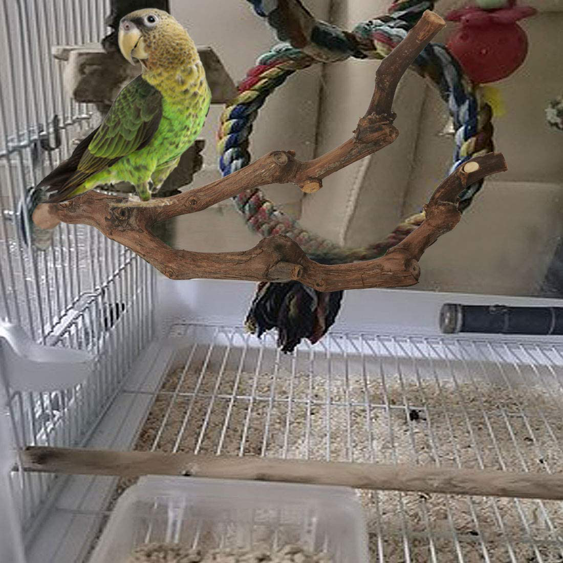 Kathson Natural Parrot Perch Bird Stand Pole Wild Grape Stick Paw Grinding Fork Parakeet Climbing Standing Branches Toy Chewable Cage Accessories for Small Budgies Cockatiels Lovebirds Animals & Pet Supplies > Pet Supplies > Bird Supplies > Bird Cage Accessories kathson   