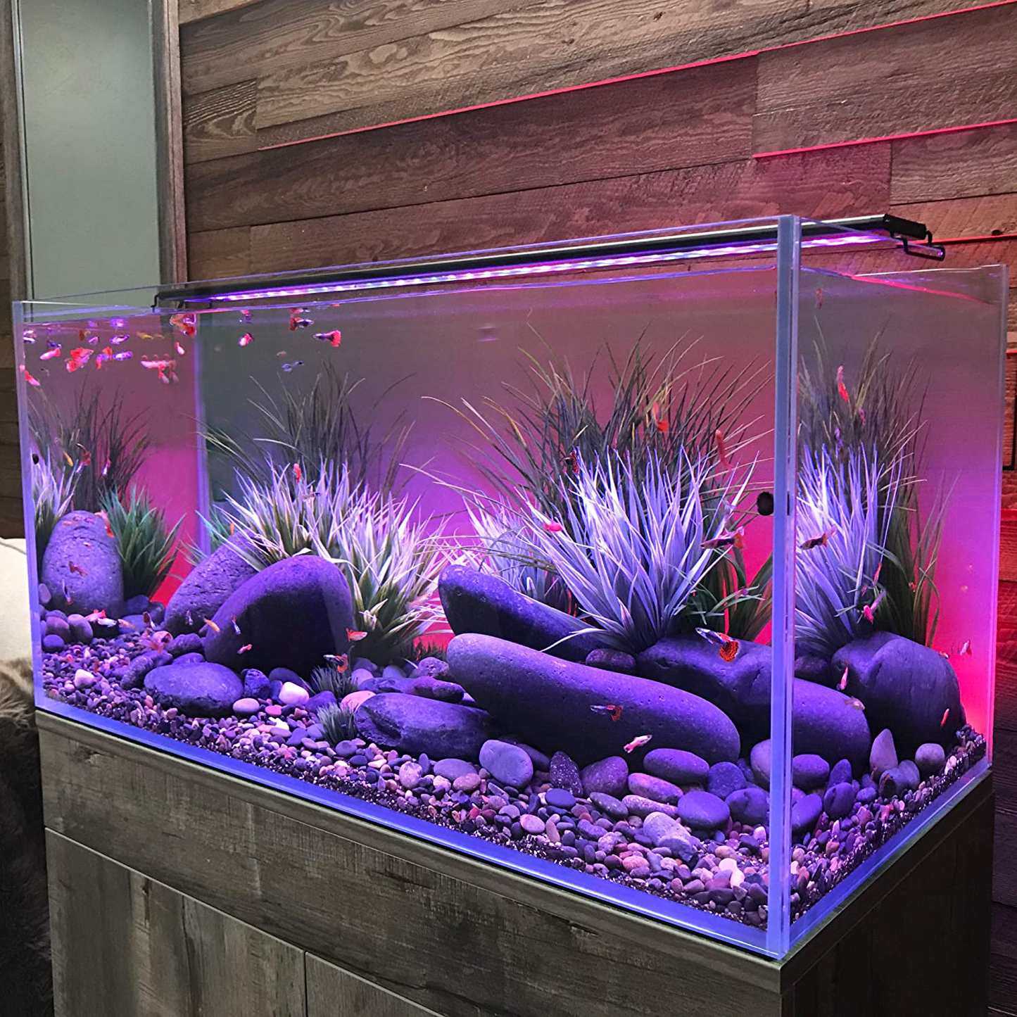 CURRENT USA Serene Aquarium Visual and Audio Aquatic Experience Kit | LED Aquarium Light | LED Background Light | Wireless Remote | Speakers Animals & Pet Supplies > Pet Supplies > Fish Supplies > Aquarium Lighting CURRENT   