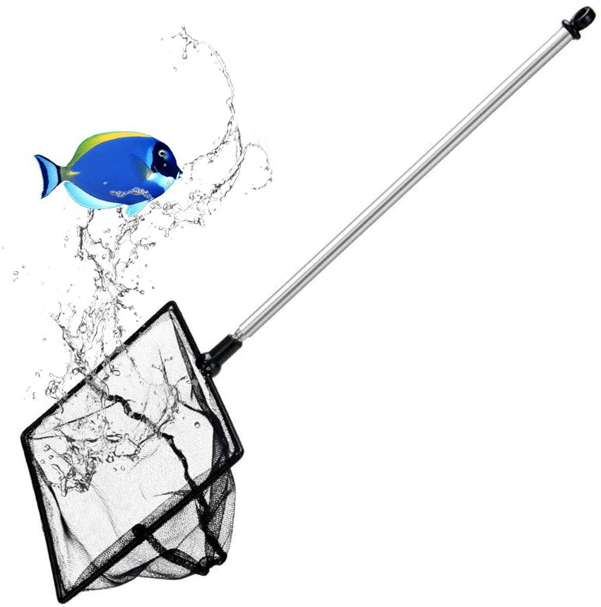 Grepol-V Fish Net for Fish Tank, Fine Mesh Aqurium Net with 9-24 Inch Stainless Steel Long Handle, Extendable Fishing Tank Net for Fish Shrimp Tank, Pond, Creek Animals & Pet Supplies > Pet Supplies > Fish Supplies > Aquarium Fish Nets Grepol-V 5 inch  